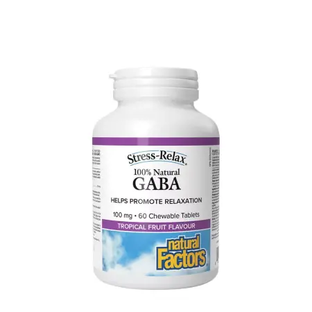 Natural Factors 100% Natural GABA 100 mg (60 Chewables, Tropical Fruit) - Natural Factors