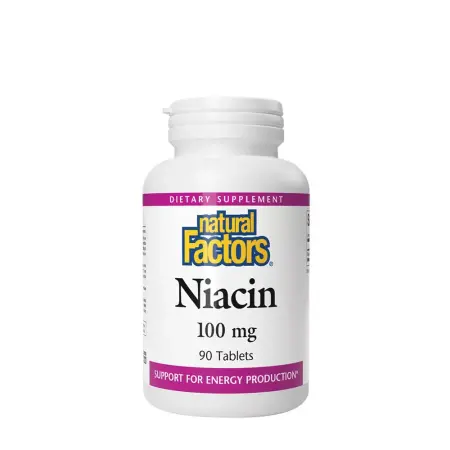 Natural Factors Niacin 100 mg (90 Tablets) - Natural Factors