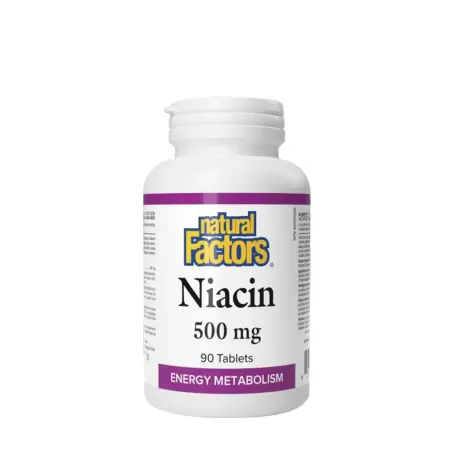 Natural Factors Niacin 500 mg (90 Tablets) - Natural Factors