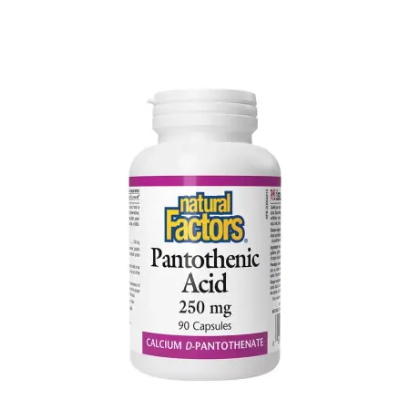 Natural Factors Panthothenic Acid 250 mg (90 Capsules) - Natural Factors