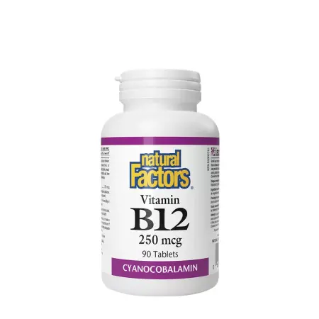Natural Factors Vitamin B12 250 mcg (90 Tablets) - Natural Factors