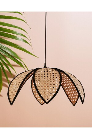 Natural Hazeran 6 Petals Flower Chandelier Single Chandelier Living Room Chandelier 50x25cm DHYC-5025 - oceanpoint