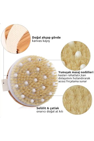 Natural Horsehair Cellulite & Stretch Mark Brush - Z'oreya