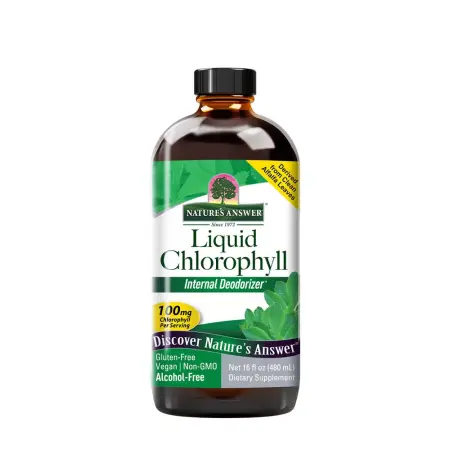 Nature's Answer Chlorophyll Liquid (16 fl. oz.) - Nature's Answer