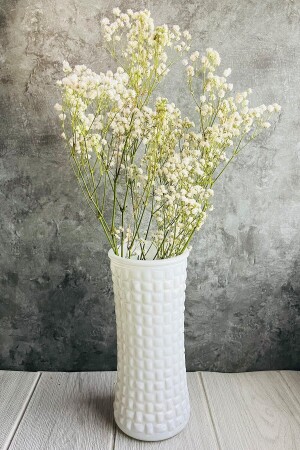 Naturweißes Chipso-Paket 1. Hochwertige, gefrier- und ausfallsichere Trockenblumen - Goya Home