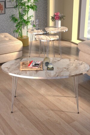 Nesting Coffee Table and Coffee Table Ellipse Set Silver Efes Tel FMA3103 - GOLDFALEZ