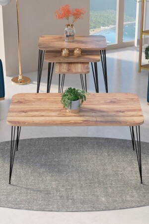 Nesting Coffee Table Kr and Coffee Table Kr Set Black Legs Walnut Wire FMA1971 - GOLDFALEZ