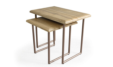 Nidya Nesting Coffee Table - Cadde Yıldız