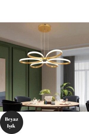 Nipul Antique Pendant Lamp Modern White Light LED Chandelier nipul-eskitme-02-01 - Elektroyou