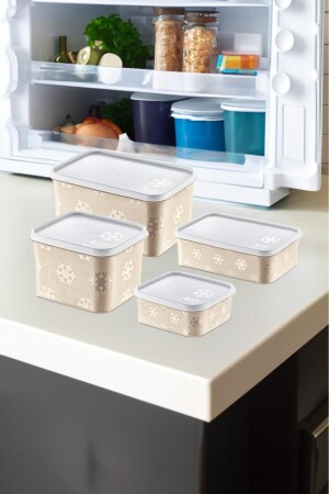 No-frost Storage Container 4 Pieces TRNSET1 - SmartWare