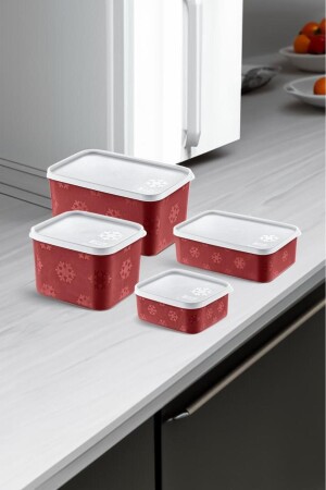No-frost Storage Container 4 Pieces TRNSET1 - SmartWare
