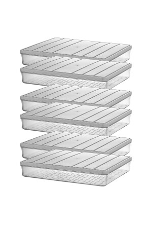 Nora 6'lı 2.5 Litre Saklama Kabı 800.032 - SELKA HOME
