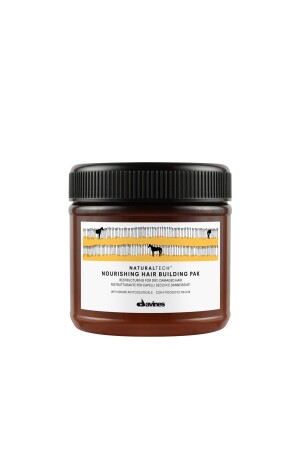 Nourishing Hair Building Pak Damaged Dry Hair Mask 250 ml - Davines