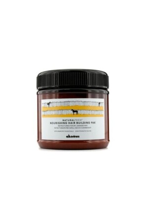 Nourishing Hair Building Pak – Intensiv restrukturierende Haarmaske für strapaziertes und trockenes Haar 250 ml - Davines