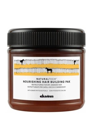 Nourishing Hair Pak Maske für geschädigtes, trockenes Haar, 250 ml - Davines