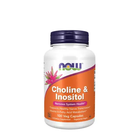 Now Foods Choline & Inositol 500 mg (100 Veg Capsules) - Now Foods
