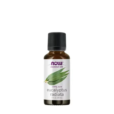 Now Foods Eucalyptus Radiata Oil (30 ml) - Now Foods