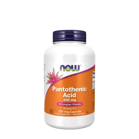 Now Foods Panthotenic Acid 500 MG (250 Capsules) - Now Foods