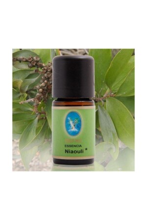 Nuka Organik Niaouli Yağı 10 Ml. - Nuka Defne Esencia