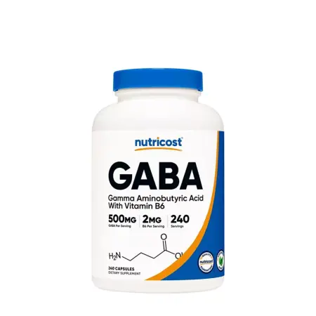Nutricost GABA + B6 500 mg (240 Capsules) - Nutricost