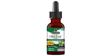 Olive Leaf Extract - POWERBODY
