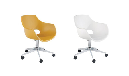 Opal Chef Chair 2 Pieces - Cadde Yıldız