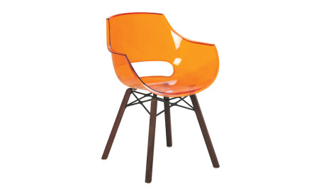 Opal Wox I Iroko Wood Chair 2 Pieces - Cadde Yıldız