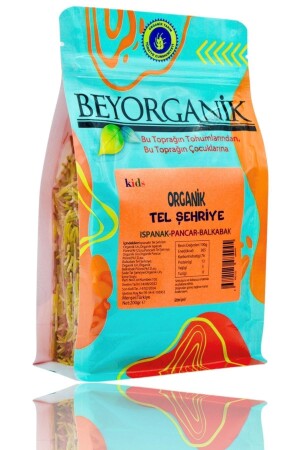 Organik Tel Şehriye Ispanaklı Pancarlı Balkabaklı 200gr - Beyorganik