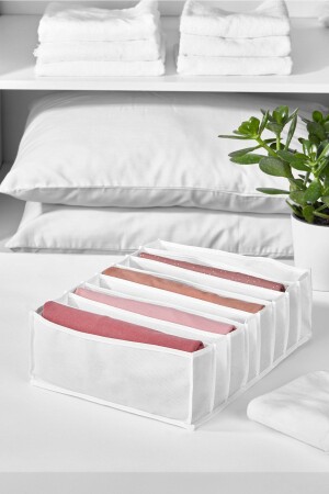 Organizer 4. Size 8 compartments 31X36X12 cm - Serstil