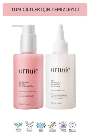 Ornate Hyaluronic Acid Brightening, Moisturizing and Purifying Care Set for All Skin Types - Ornate