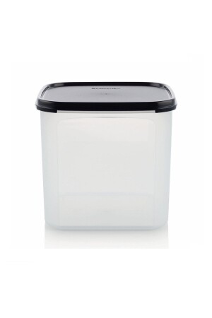 Oval Modular 4 lt Dry Food Storage Container 2197 - Tupperware