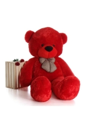 Oyuncak Peluş Ayıcık 80 cm Hediyelik Ayı BM12502112 - Legosh
