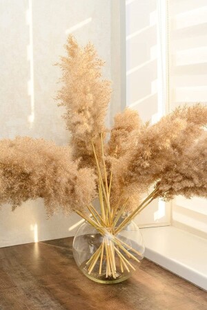 Pampas Grass Decoration Long 10 Pieces - 100cm Tall Pampas Grass for Floor Vase - - Alyones