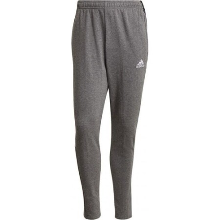 Pants Adidas Tiro 21 Sweat M, gray - Adidas
