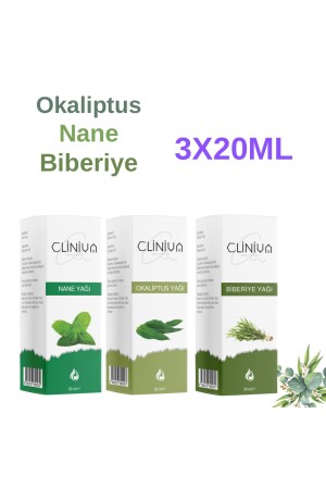 Peppermint Oil - Eucalyptus Oil - Rosemary Oil Refreshing Set of 3 100% Natural Essential Oil - Cliniva