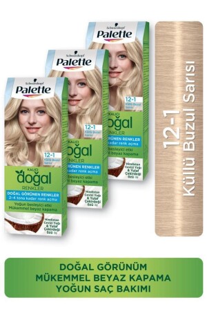 Permanent Natural Colors Hair Dye 12-1 Ashy Glacier Blonde. HNKL. 2514 - Palette