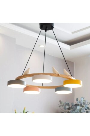 Phival Simple Chandelier muscle - SimaAvize