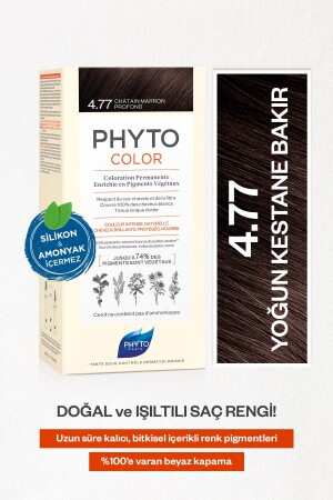 Phytocolor 4. 77 Intense Chestnut Copper Ammonia-Free Permanent Herbal Hair Dye - Phyto