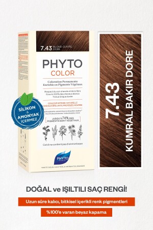 Phytocolor 7. 43 Auburn Copper Gold Ammonia-Free Permanent Herbal Hair Dye 3338221004604 - Phyto