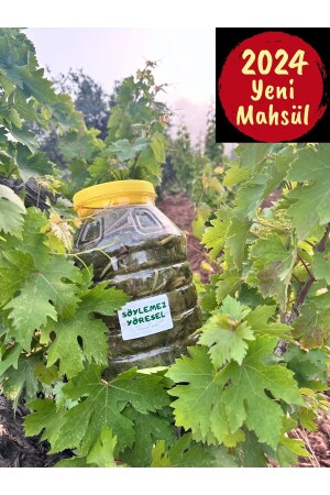 Pickled Vineyard Leaves - Söylemez Zeytincilik