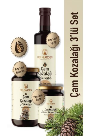 Pine Cone Set 3 Pieces Syrup 500 ml -molasses 800 Gr -paste 230 g ALF19373400242 - Bee Garden