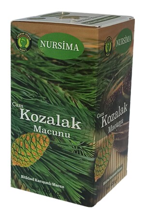 Pine Pine Paste 420 gr - Nursima