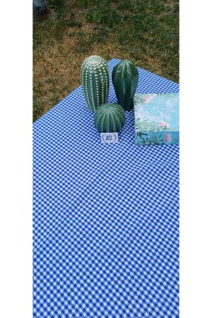Piti karierte blaue Tischdecke – Tischdecke – Picknicktuch Baumwolle - Sofrabezidiyari
