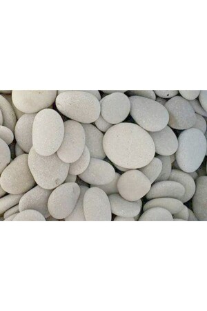 Plate Stone And Wood Painting 20 Pieces - Taş Tasarım
