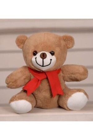 Plush Teddy Bear - Hazal