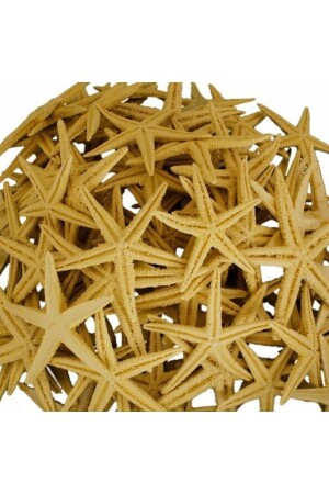 Polyester Starfish 100 Pieces Small Size Ornament Decorative Starfish 3-4cm - Aker Hediyelik