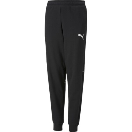 Puma Active Sports Jogginghose für Teenager, Schwarz, 670076 01 - Puma