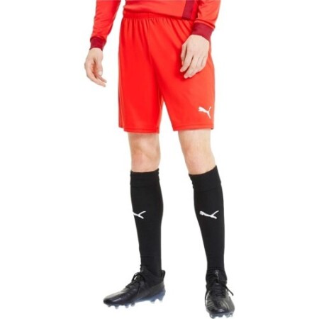 Puma Men's Football Shorts TeamGoal 23 Knit Shorts Red 704262 01 - Puma