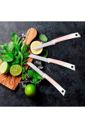 Pure Line Solingen 6-Piece Fruit Knife Set 21501 - Pirge