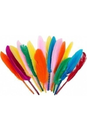 Puti Feather Mixed Color 10 Lot - Viva